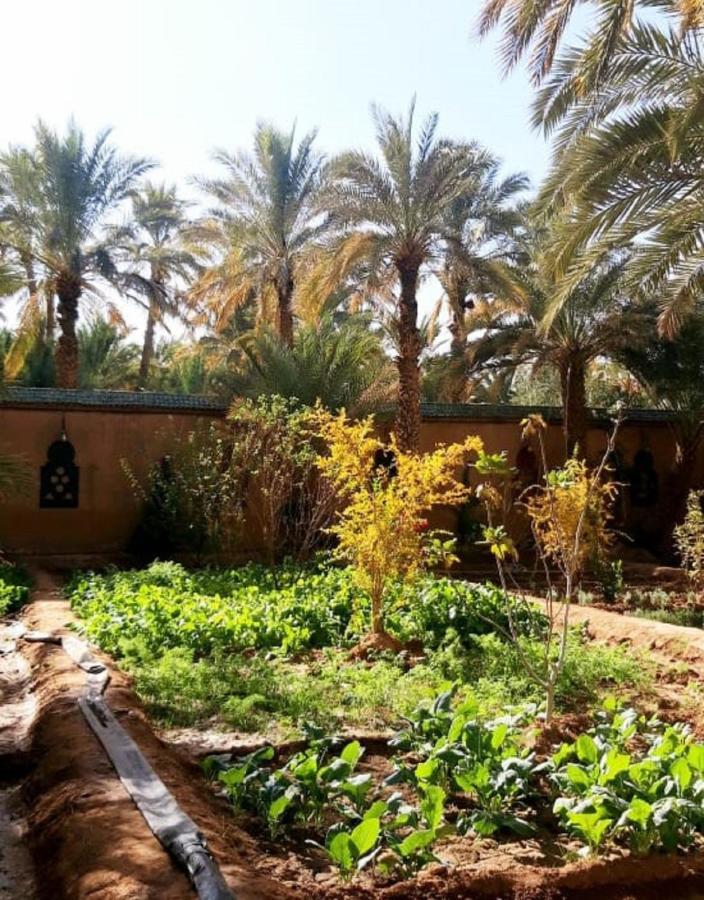 Riad Dar Sofian Zagora Extérieur photo