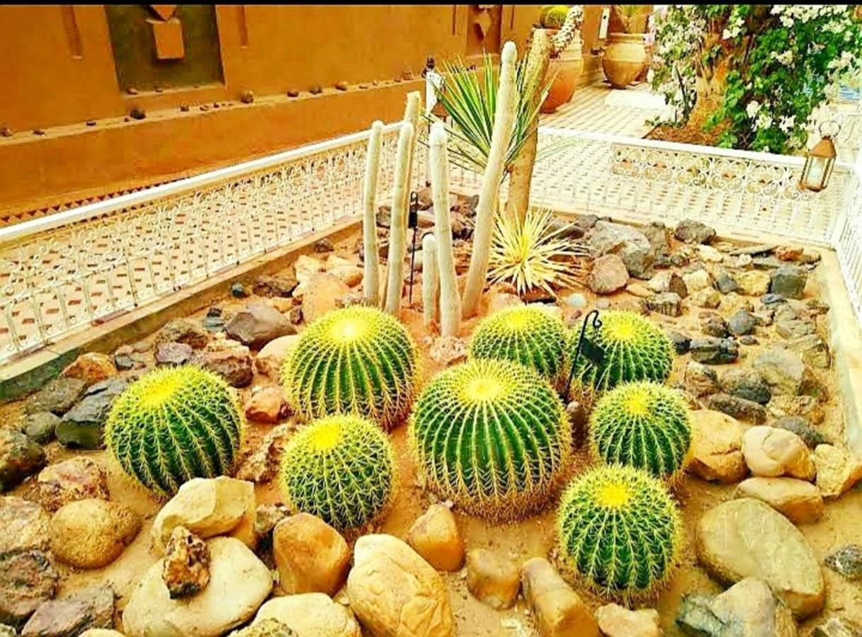 Riad Dar Sofian Zagora Extérieur photo