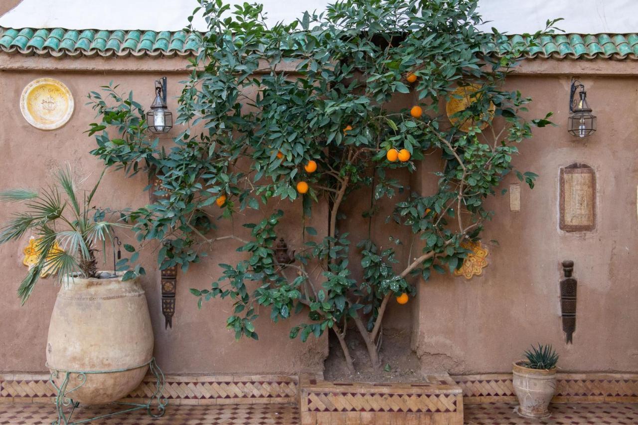 Riad Dar Sofian Zagora Extérieur photo